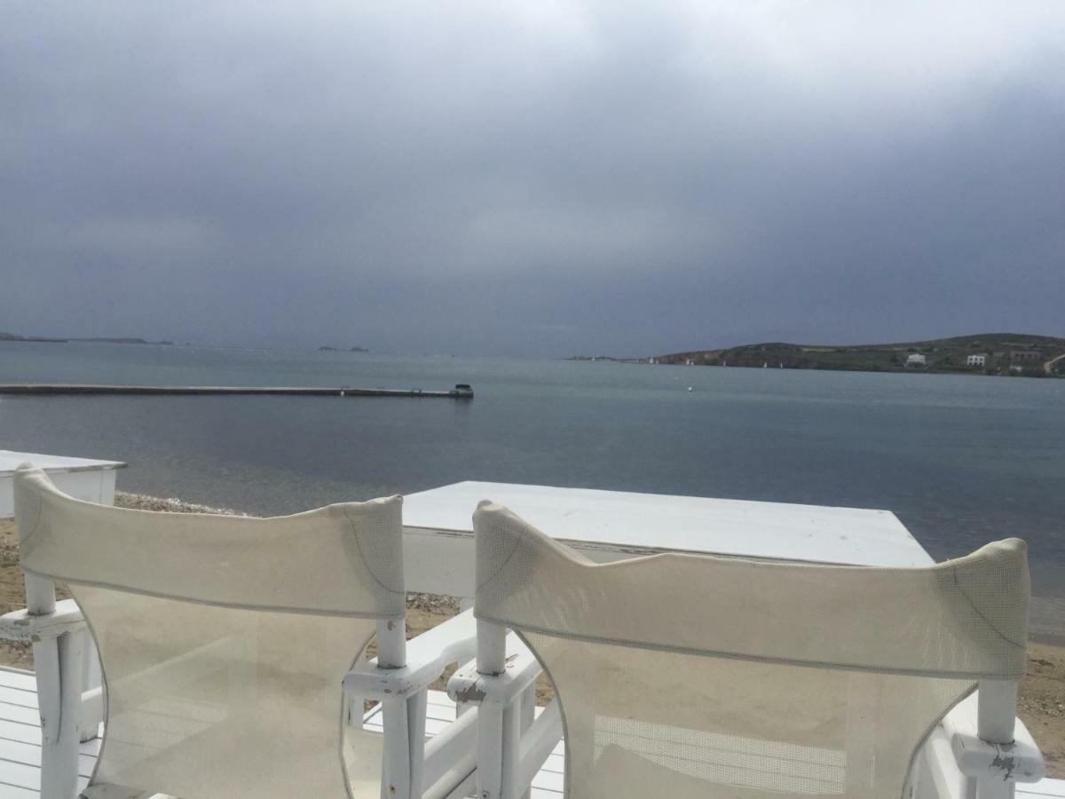 Studio Apartment Violetta At Livadia Beach Páros Dış mekan fotoğraf